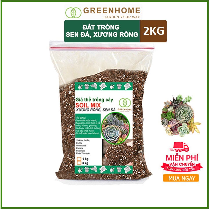 Đất trồng sen đá trộn sẵn siêu sạch-Trồng xương rồng, sen đá-Cung cấp đầy đủ chất dinh dưỡng cho cây trồng- TÚI 2KG