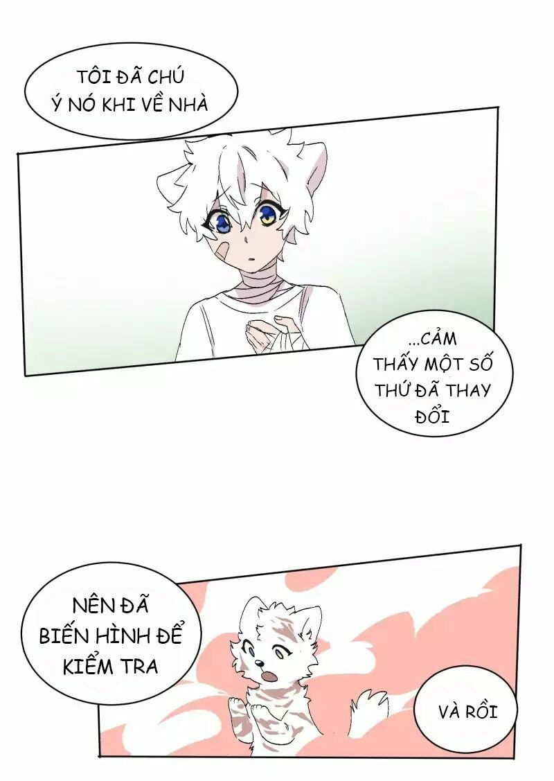 lumine - cội nguồn ánh sáng chapter 32 3