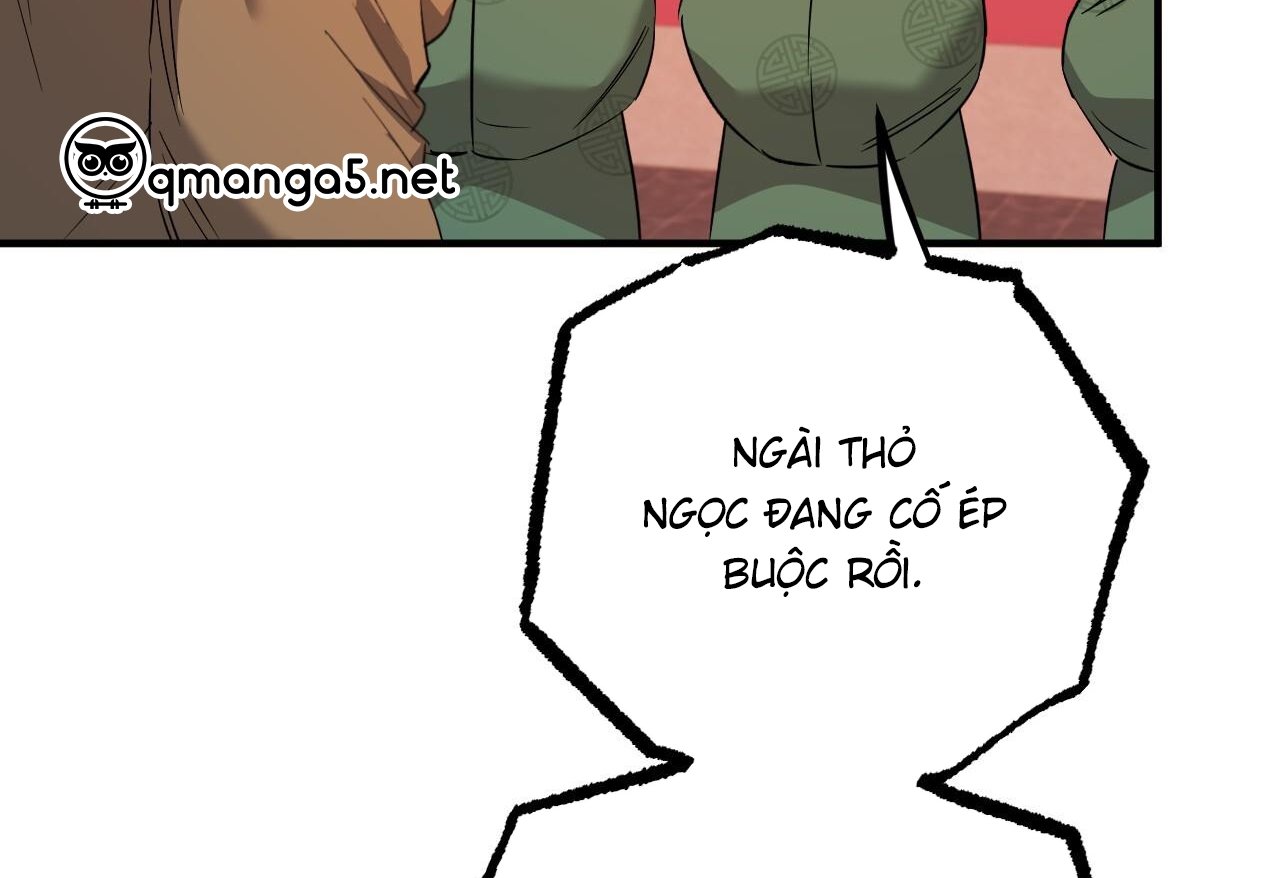 những chú thỏ của hapypy chapter 62 243