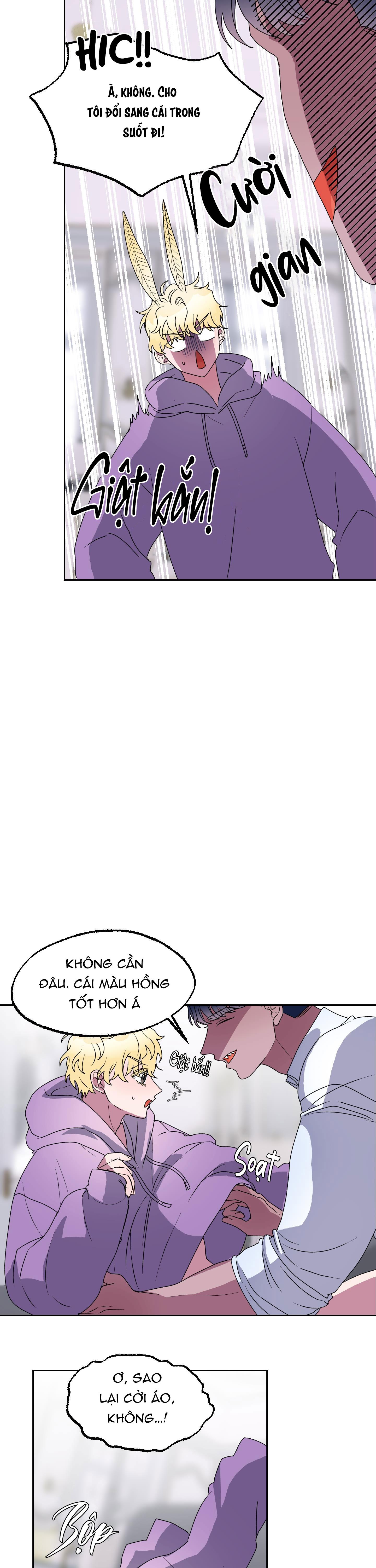 cá mập và cô dâu thỏ chapter 11 6