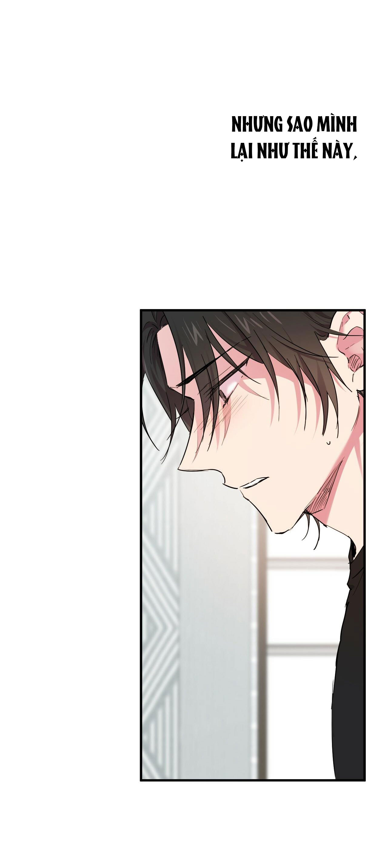 những chú thỏ của hapypy chapter 13 46