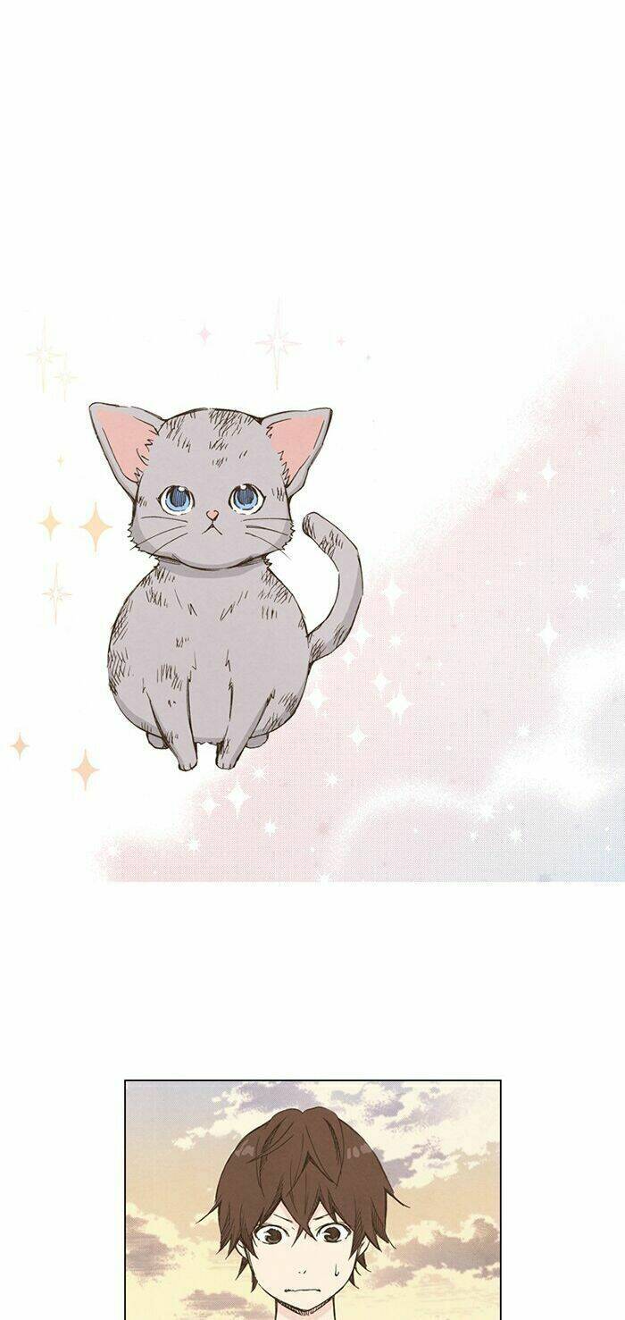 marry me! chapter 31 31