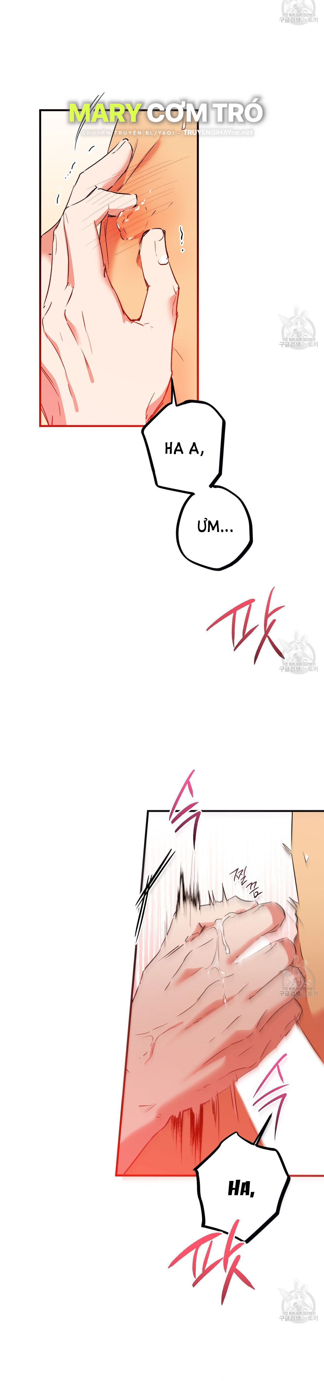 những chú thỏ của hapypy chapter 64.1 2