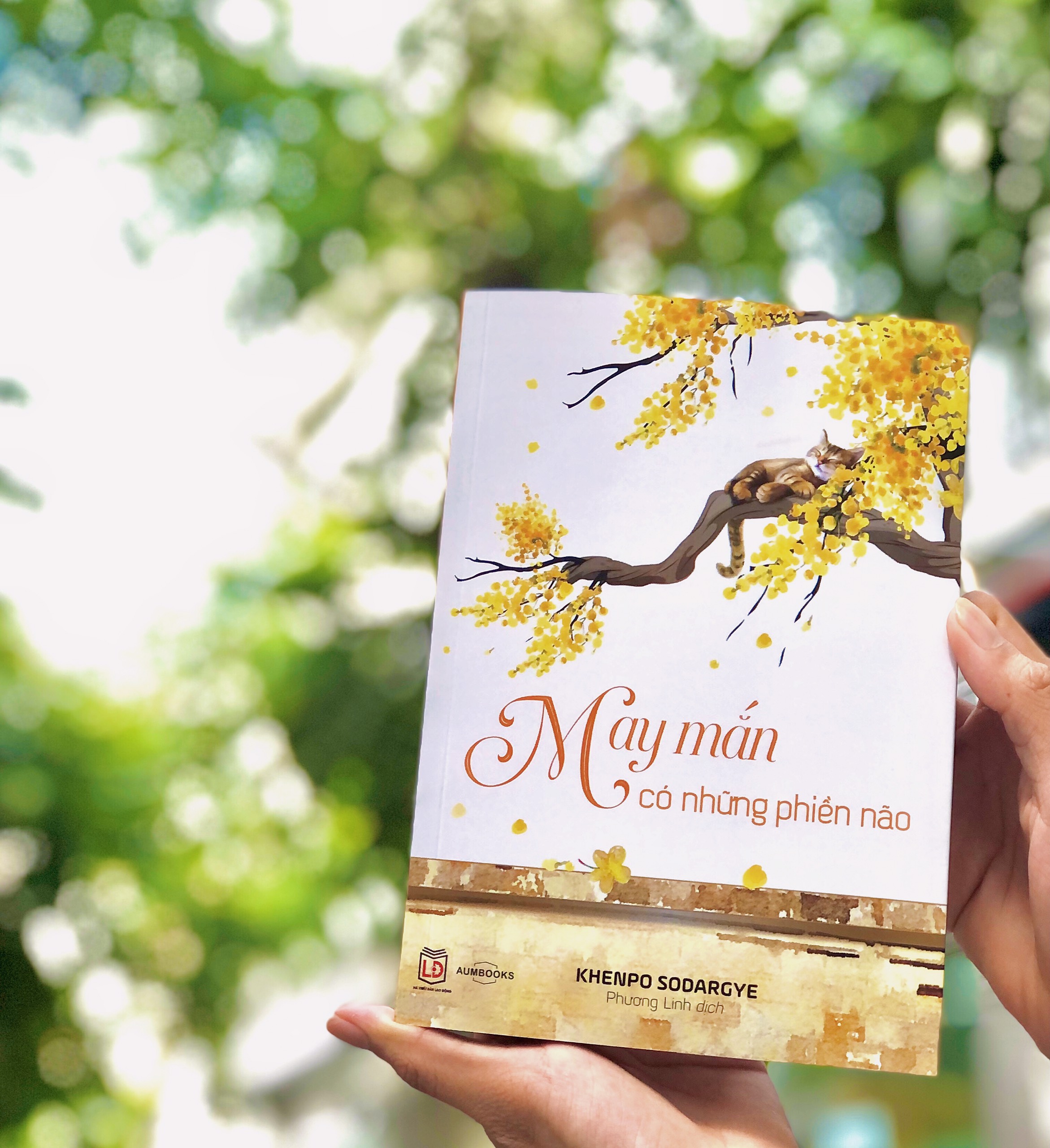 BỘ SÁCH "TIẾC" - Sách Tôn Giáo, Nghệ Thuật Và Văn Hóa, Tác Giả KHENPO SODARGYE - Hiệu Sách GenBooks, bìa mềm, in màu