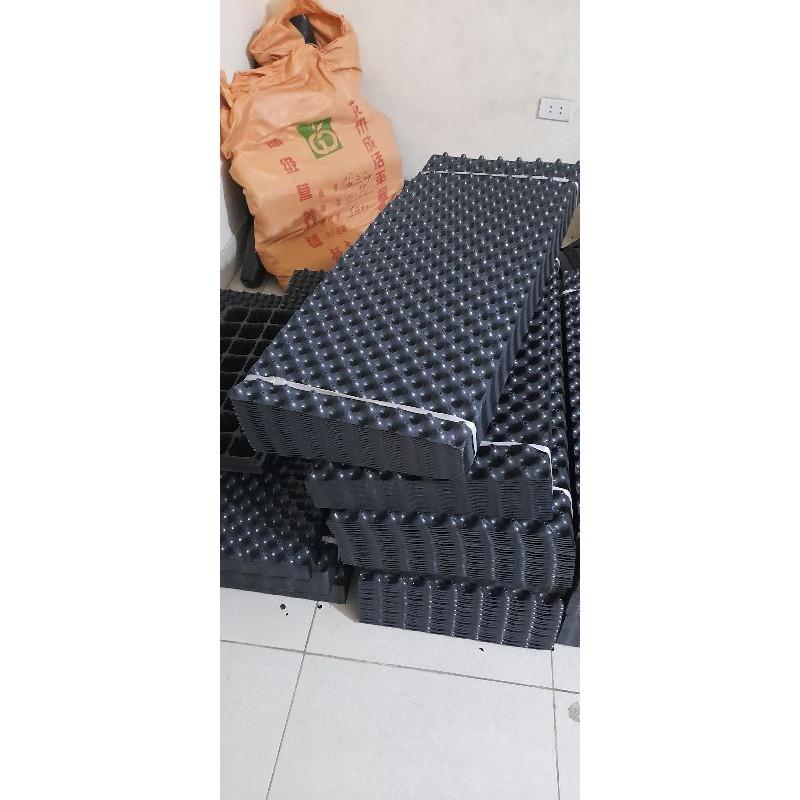 Bầu ươm V6 40cm 1 cuộn 50m dày 0.7mm