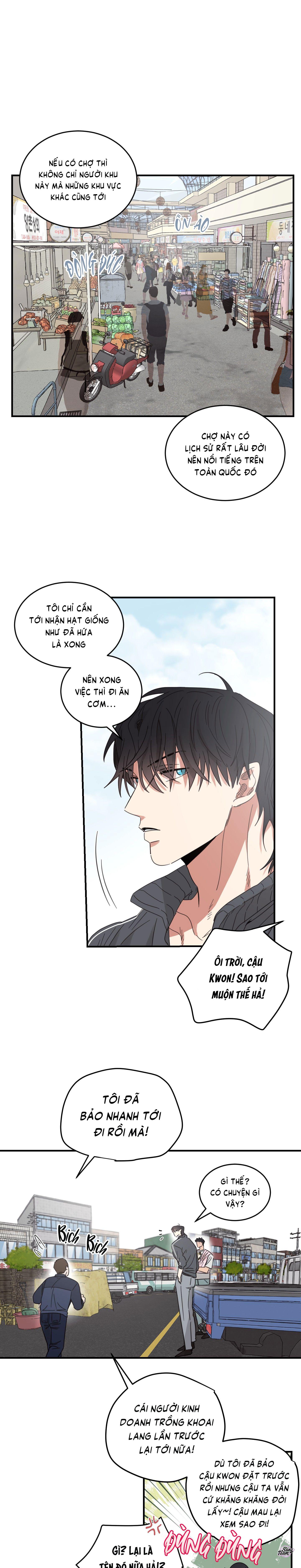 căn nhà mặt trời mọc chapter 19 12