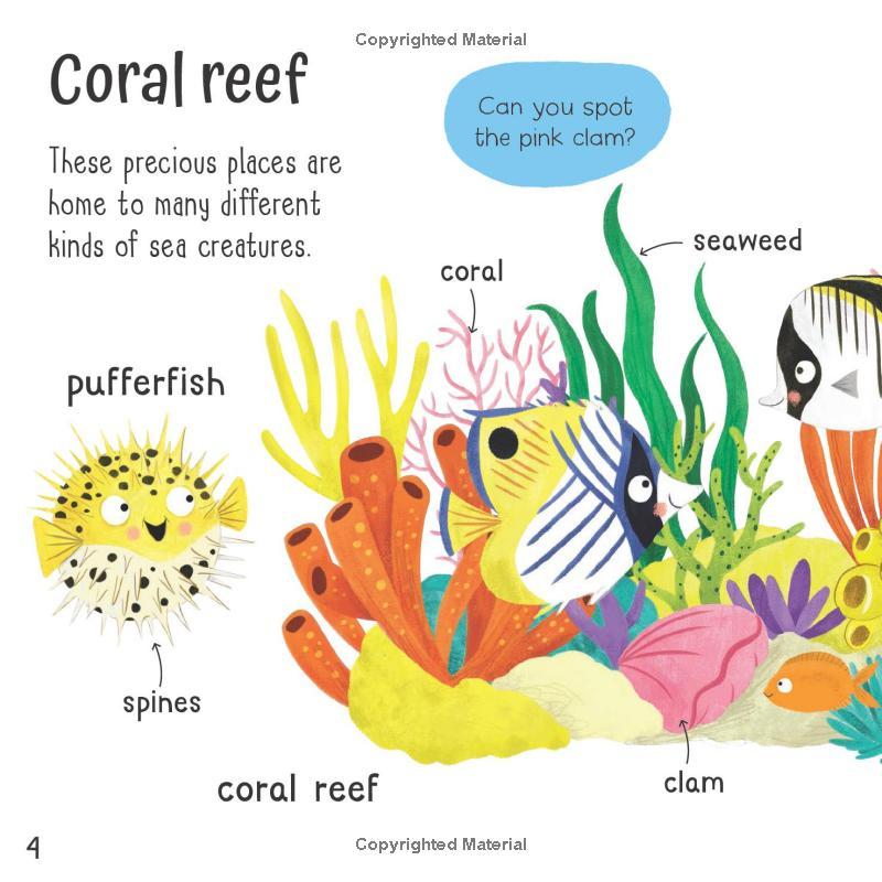 Sách ngoại văn: Wonderful Words - Under the Sea!