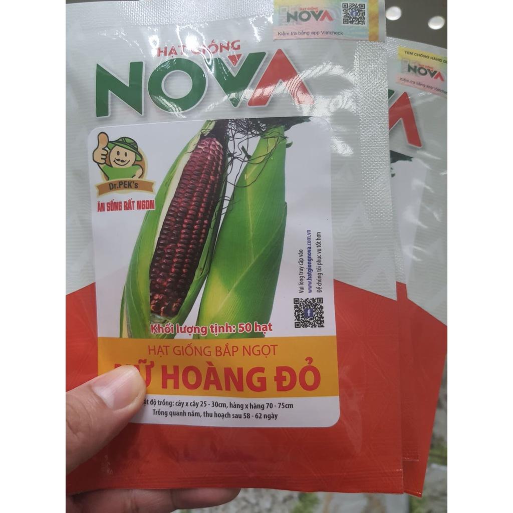 Hạt giống bắp nữ hoàng đỏ ( 1 gói 50 hạt )