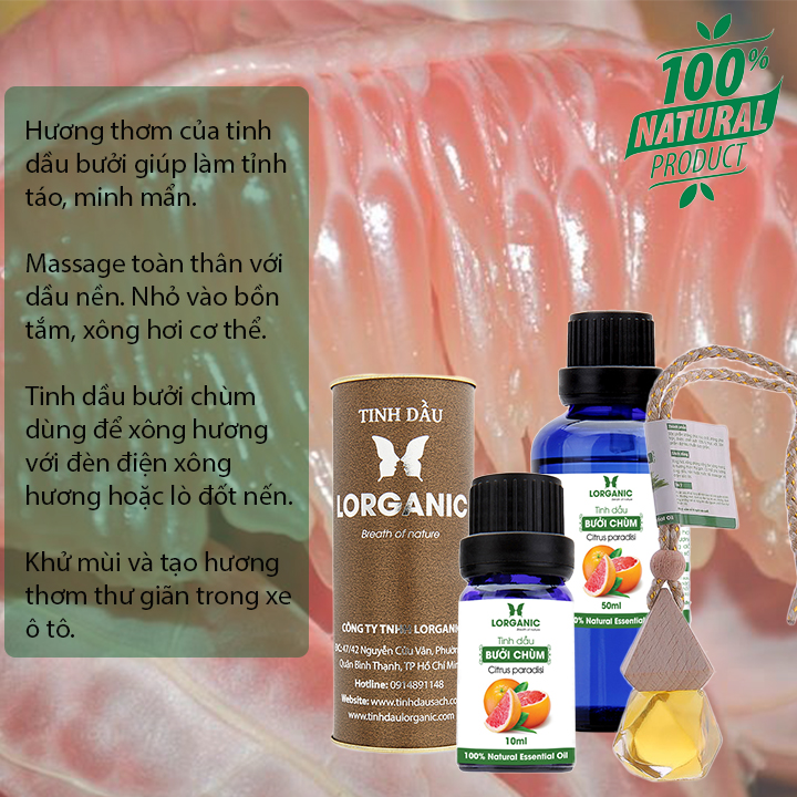 MÁY KHUẾCH TÁN TINH DẦU BÌNH TỬU LORGANIC FX2038