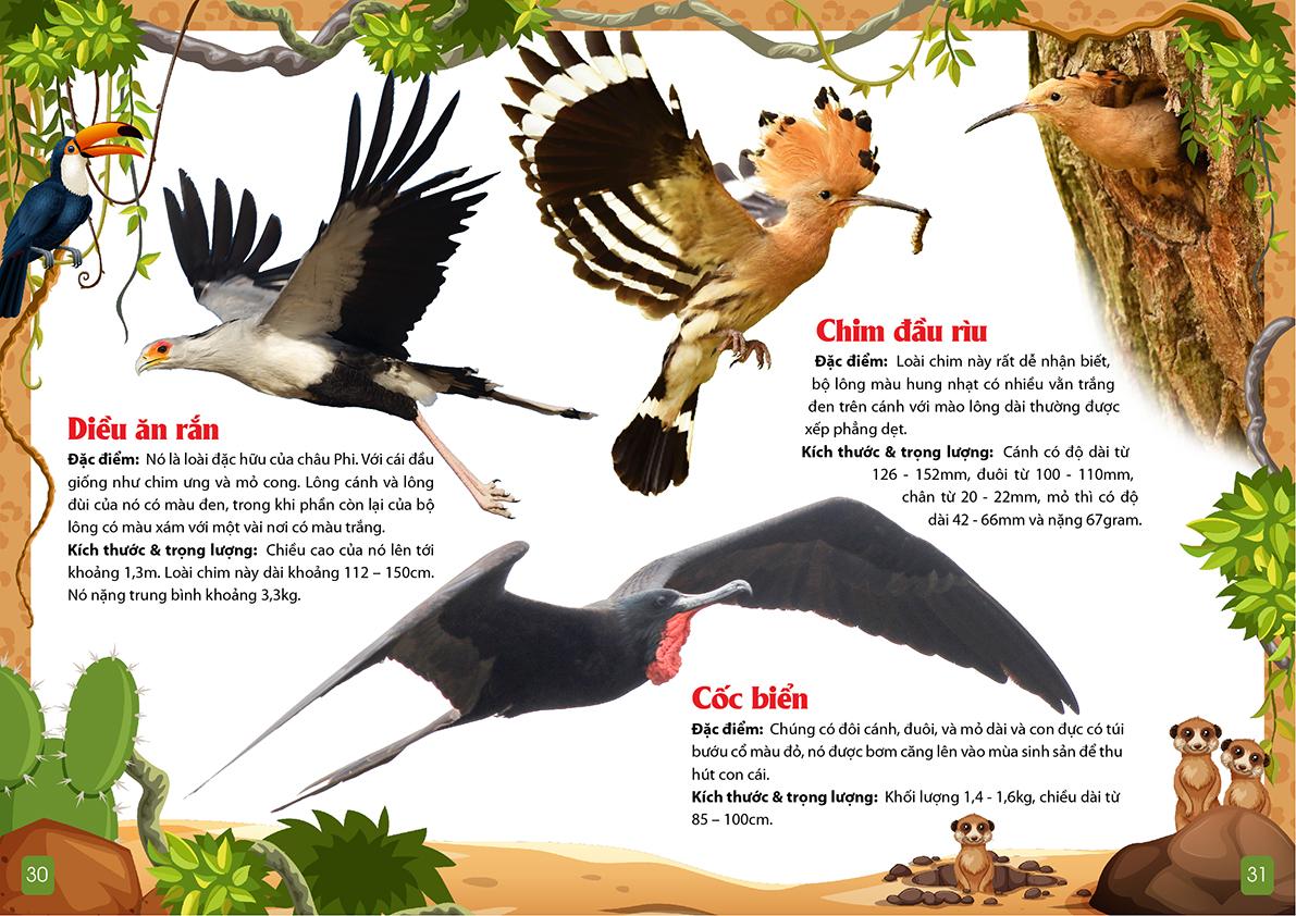 Khám Phá Động Vật 5 Châu - Châu Phi