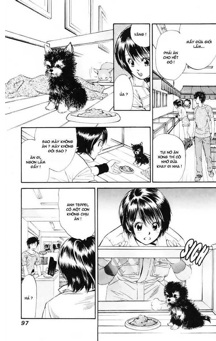 cô nàng yêu chó chapter 3 9