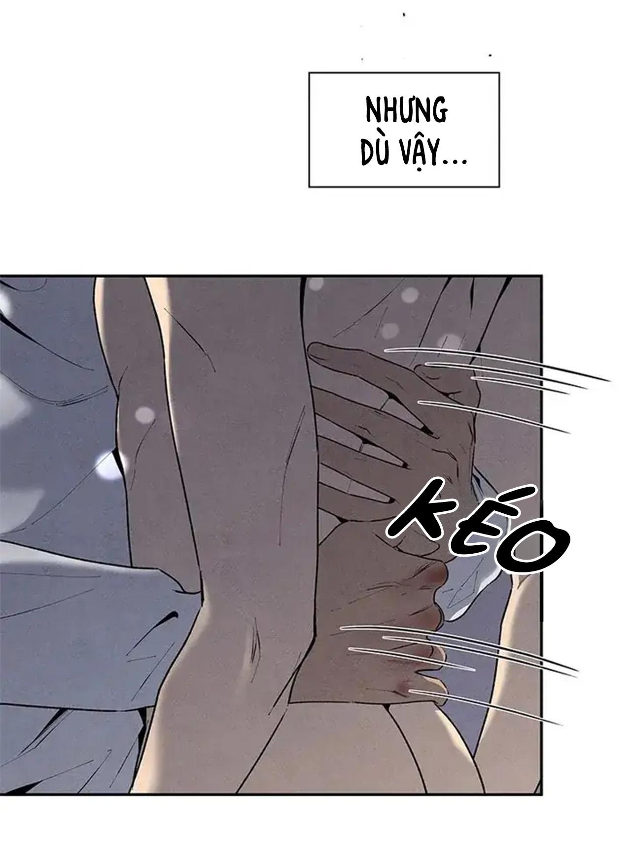 bona sort chapter 56 78