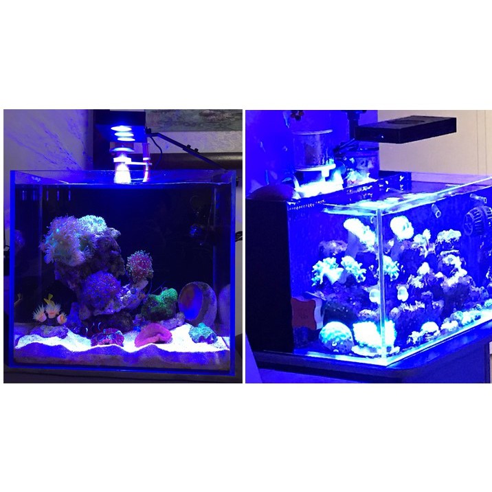 Đèn M029 cho hồ cá biển - Đèn M029 chuyên dụng cho hồ nước mặn 30W