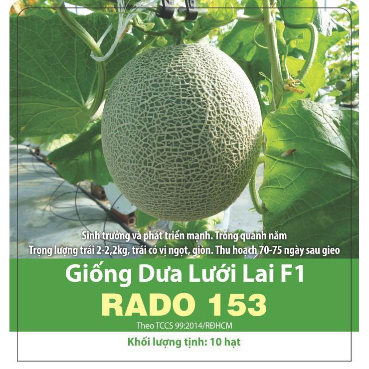 Hạt Giống Dưa Lưới Lai F1