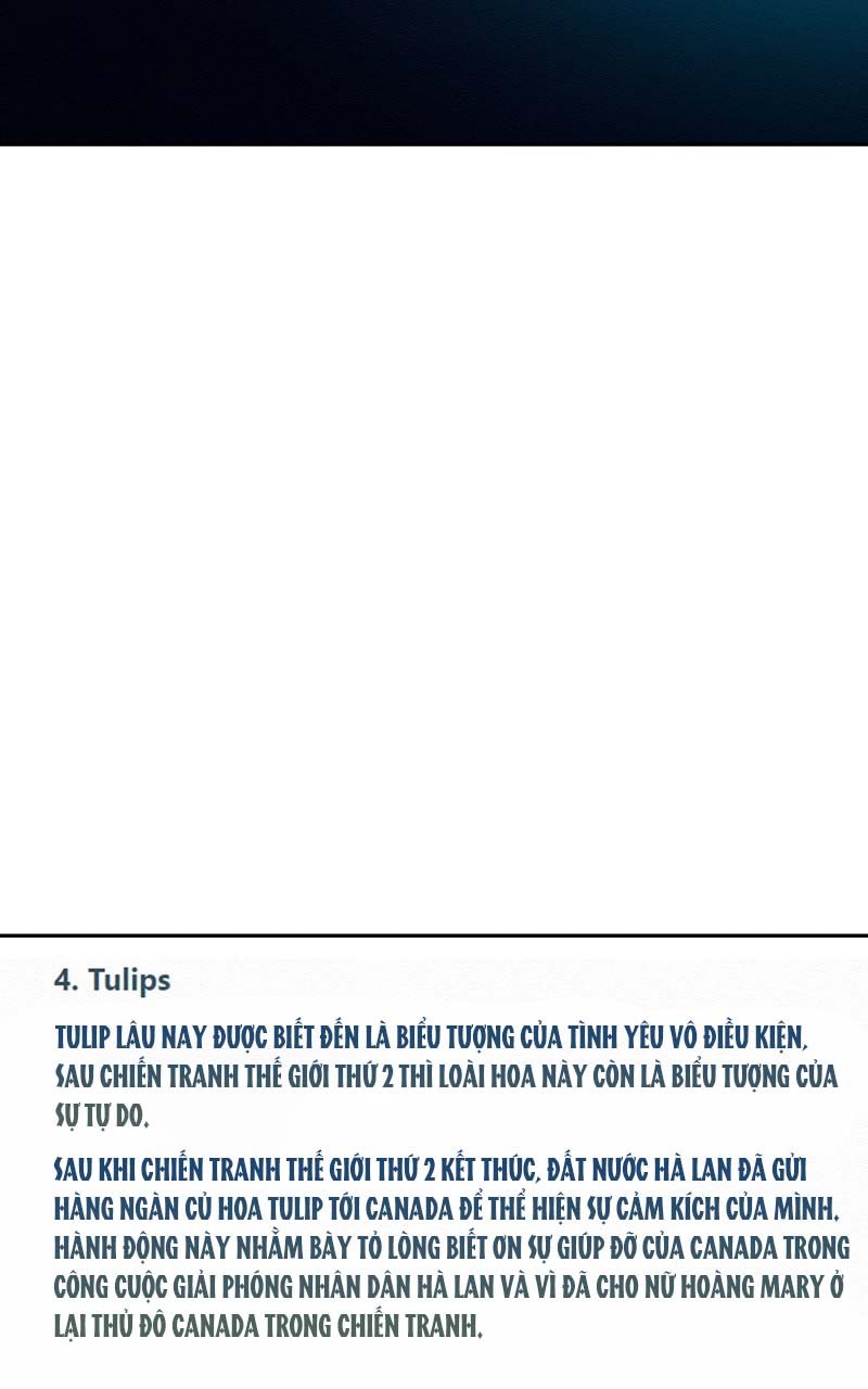 ngày mai tươi đẹp chapter 27 22