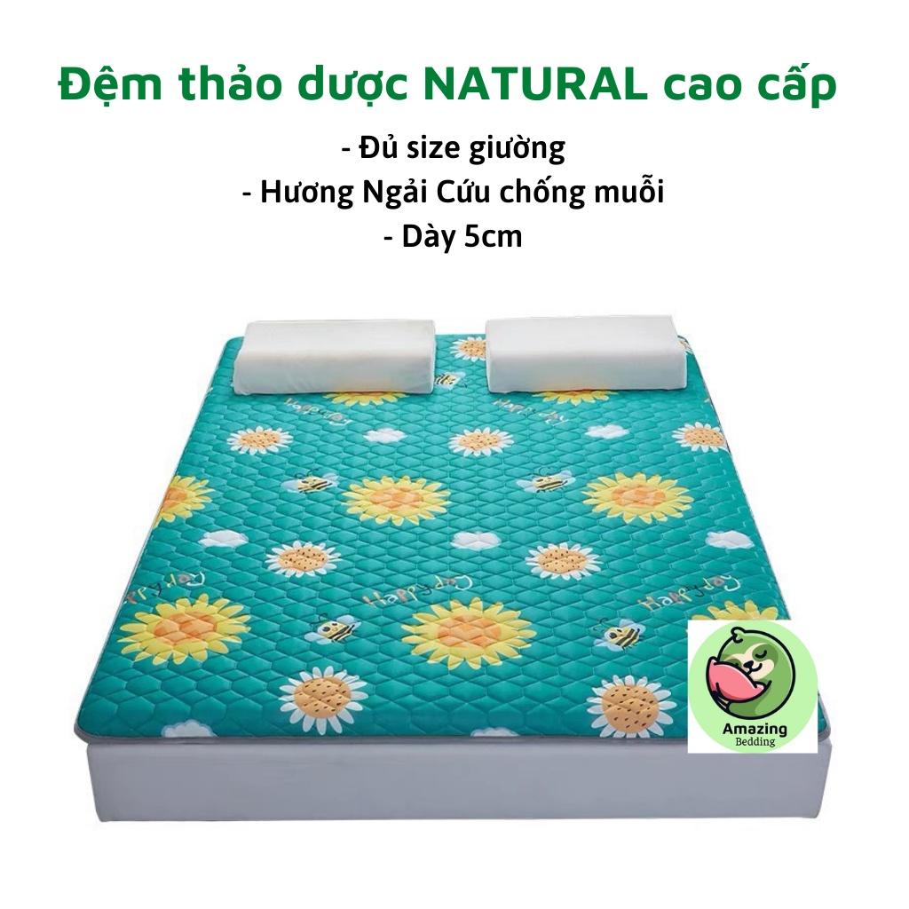 Đệm thảo dược hương Ngải cứu NATURAL cao cấp