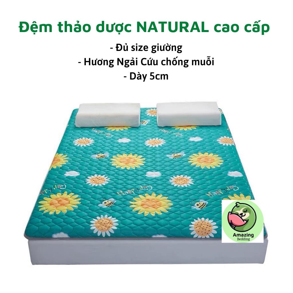 Đệm thảo dược hương Ngải cứu NATURAL nhập khẩu cao cấp