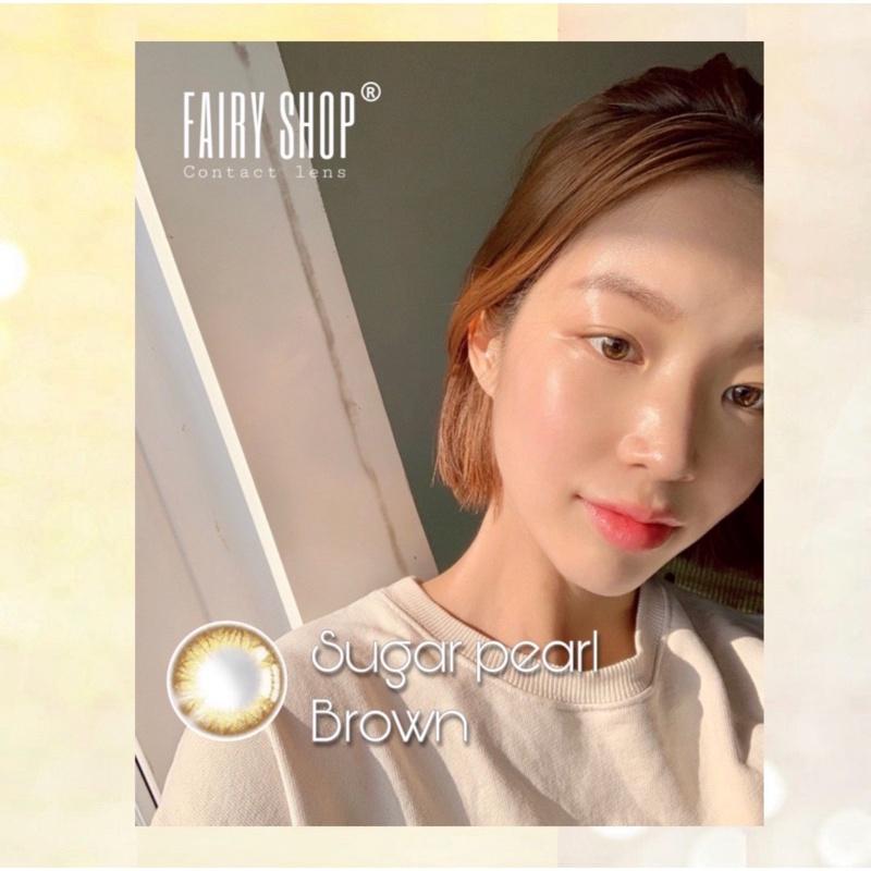 Áp Tròng Sugar Pearl Brown 14.0mm - Kính Áp Tròng FAIRY SHOP CONTACT LENS độ 0 đến 6