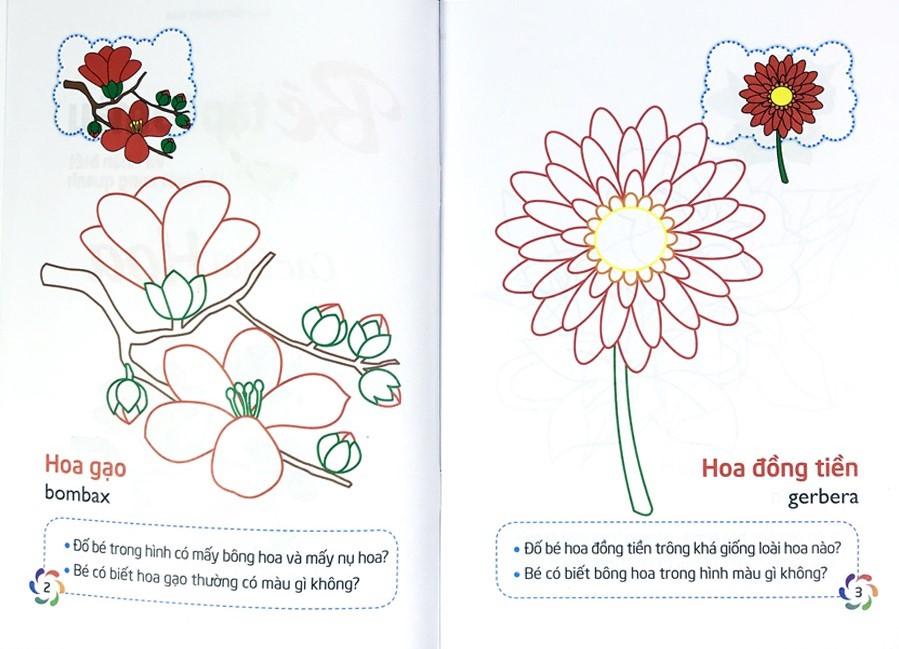 Sách Tập Tô Màu Và Nhận Biết Thế Giới Xung Quanh - Các Loại Hoa