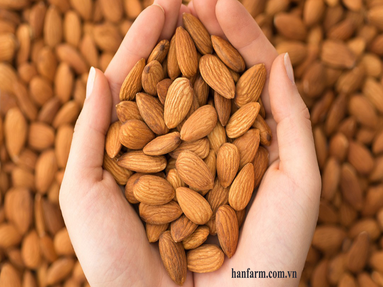Hạnh nhân sống Mỹ không biến đổi gen nonpareil size 27/30 _ Raw almonds non GMO size 27/30