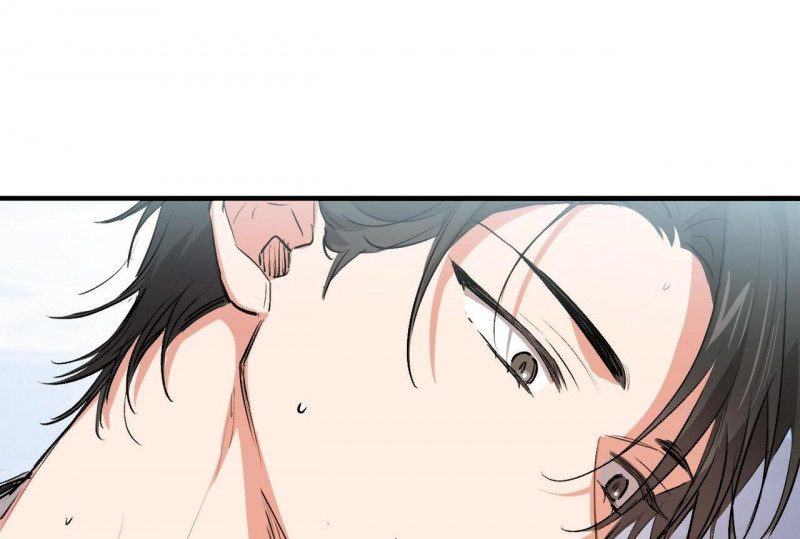 những chú thỏ của hapypy chapter 32.5 94