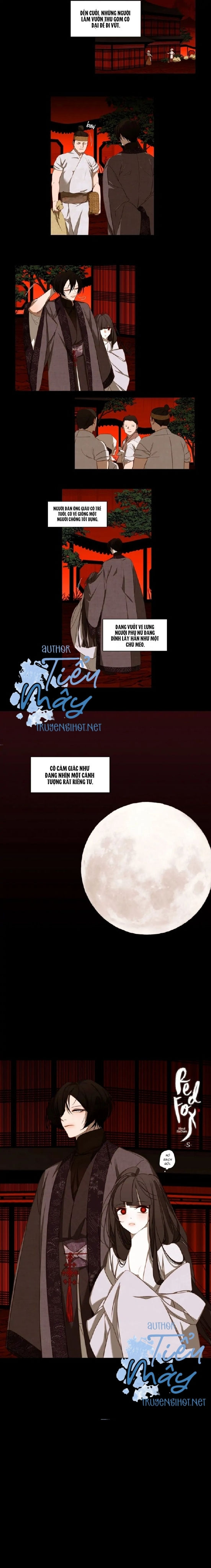cáo đỏ - hledam chapter 5 3