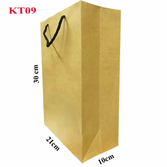 Bộ 50 Túi Giấy Kraft Trơn Vinanetco KT09 (30 x 21 x 10cm)