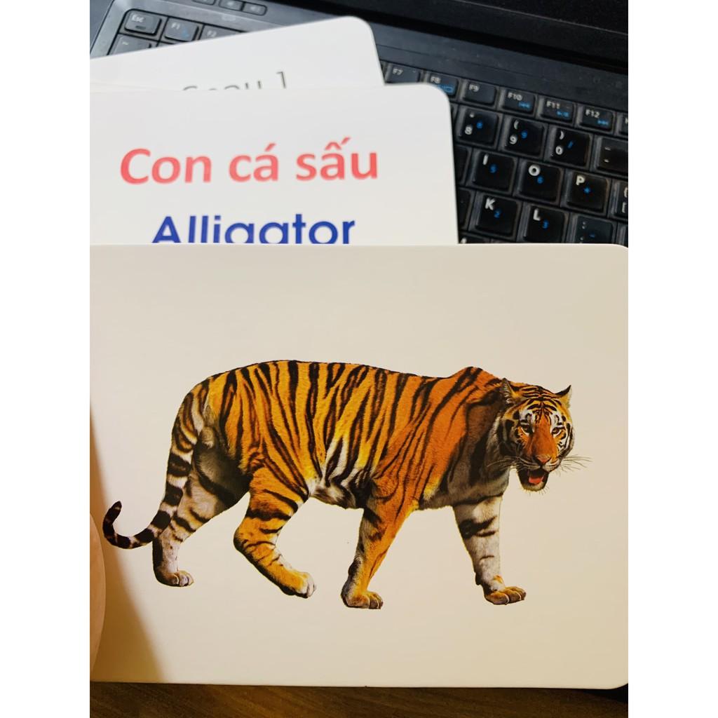 Bộ Thẻ  Học Flashcard Thông Minh Cho Bé 19 Chủ Đề Loại Lớn - Hàng Việt Nam Cao Cấp Chính hãng Amalife