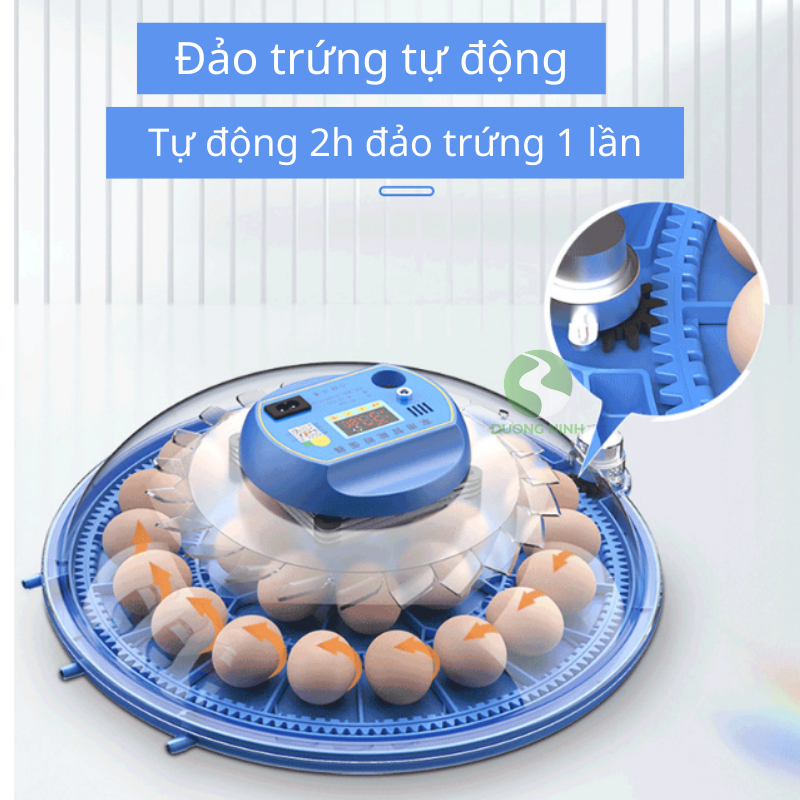 Máy ấp trứng gà mini thông minh Dương Ninh tự đảo hiện đại MAT71