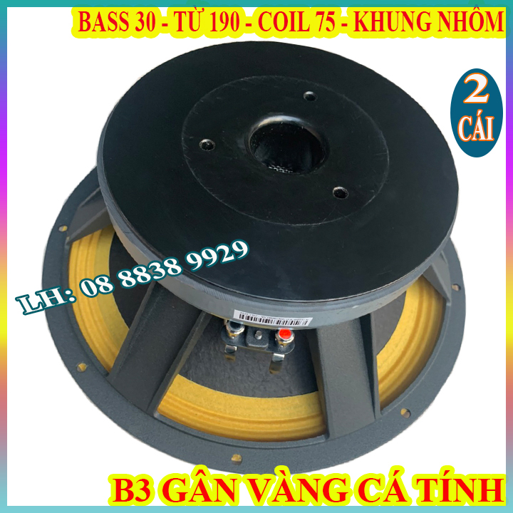 CẶP LOA BASS 30 B3 AUDIO COIL 75 TỪ 190 GÂN VÀNG CAO CẤP - GIÁ 2 LOA