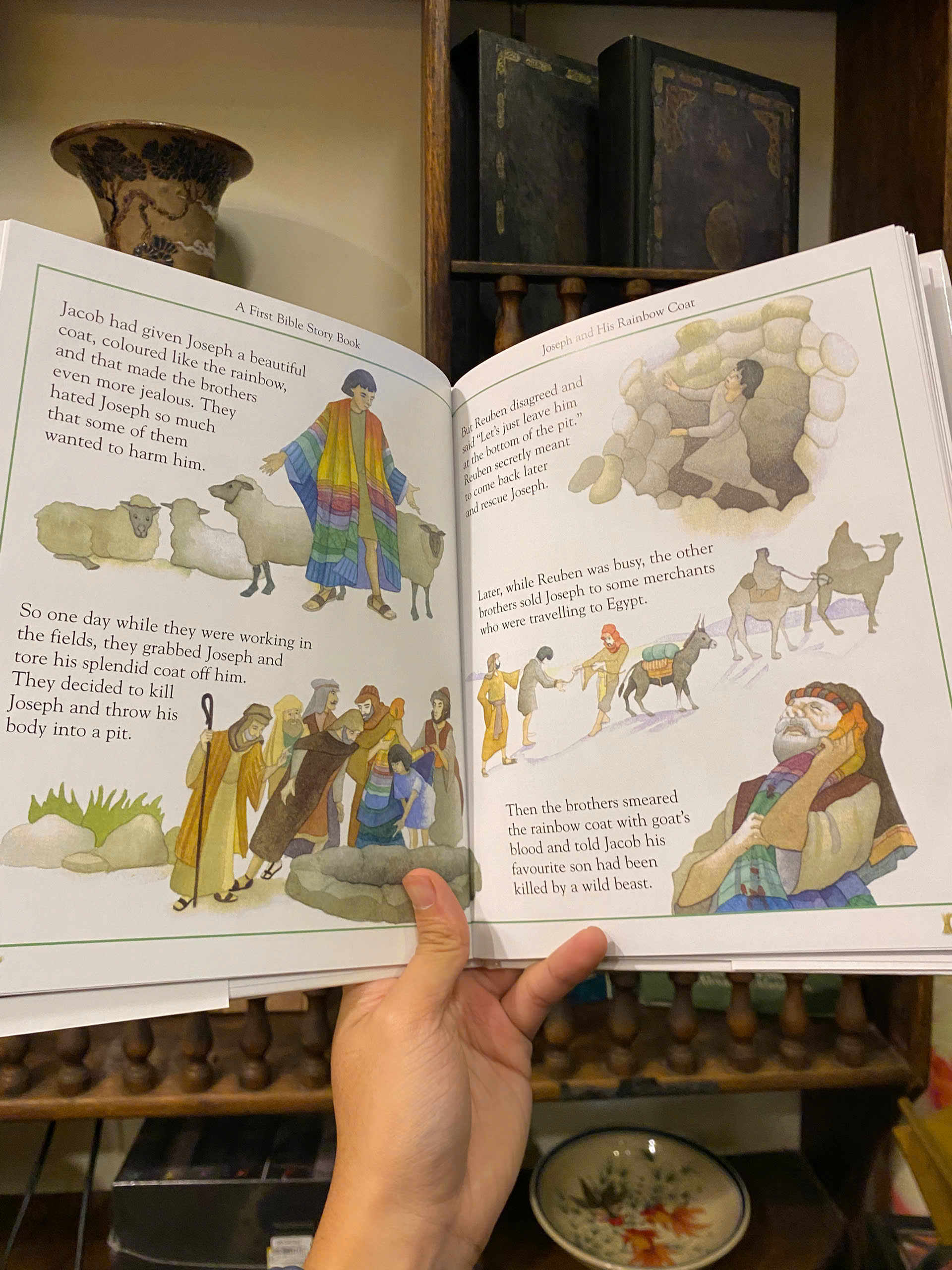 Sách - A First Bible Story Book by Mary Hoffman | Children's Picture Book | Sách bìa cứng
