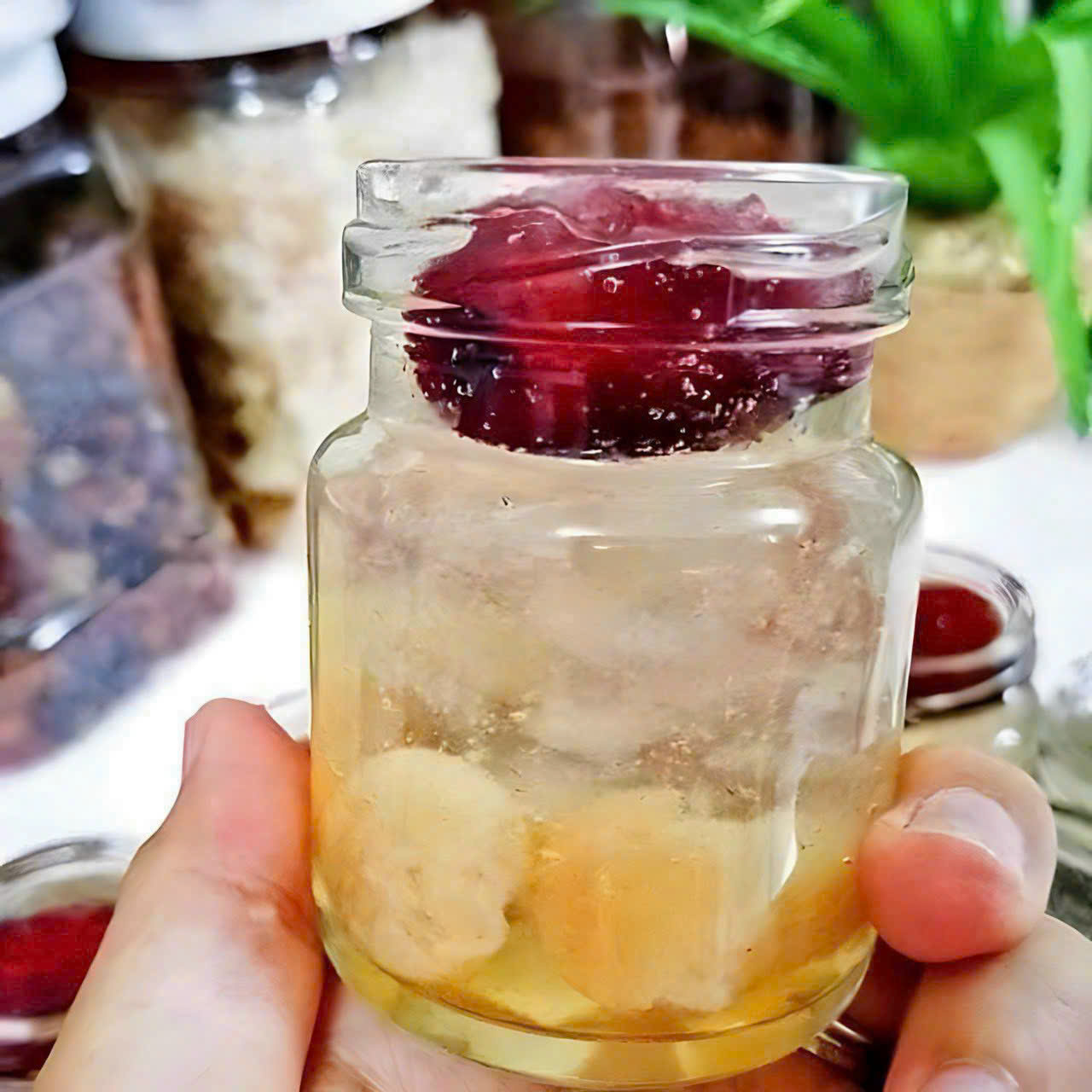[SET 1]Viên Yến Baby Chia Sẵn   Mix Táo Đỏ - Đường Phèn - Long Nhãn  - Yến Sào Trang Birdnest - Tăng Cường Sức Khỏe - Tăng Hệ Miễn Dịch - Tăng Sức Đề Kháng