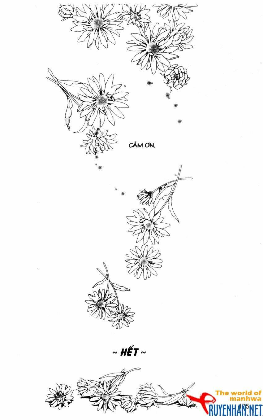 ngọc trong đá-ace chapter 36 17