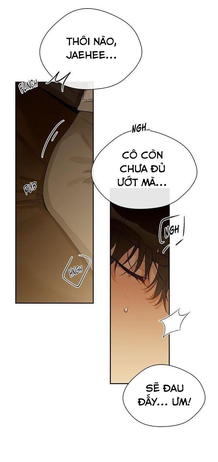 giấc mơ ngọt ngào chapter 20 10