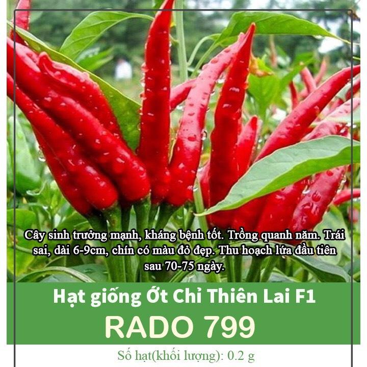 RD Giống ớt chỉ thiên 799 (0.1g)