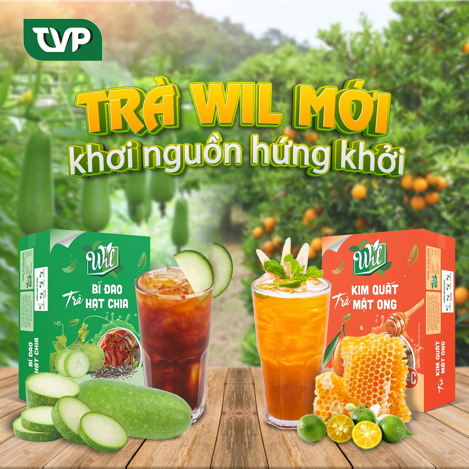 Trà bí đao hạt chia Wil trà hòa tan giải nhiệt thanh lọc cơ thể hộp 168g