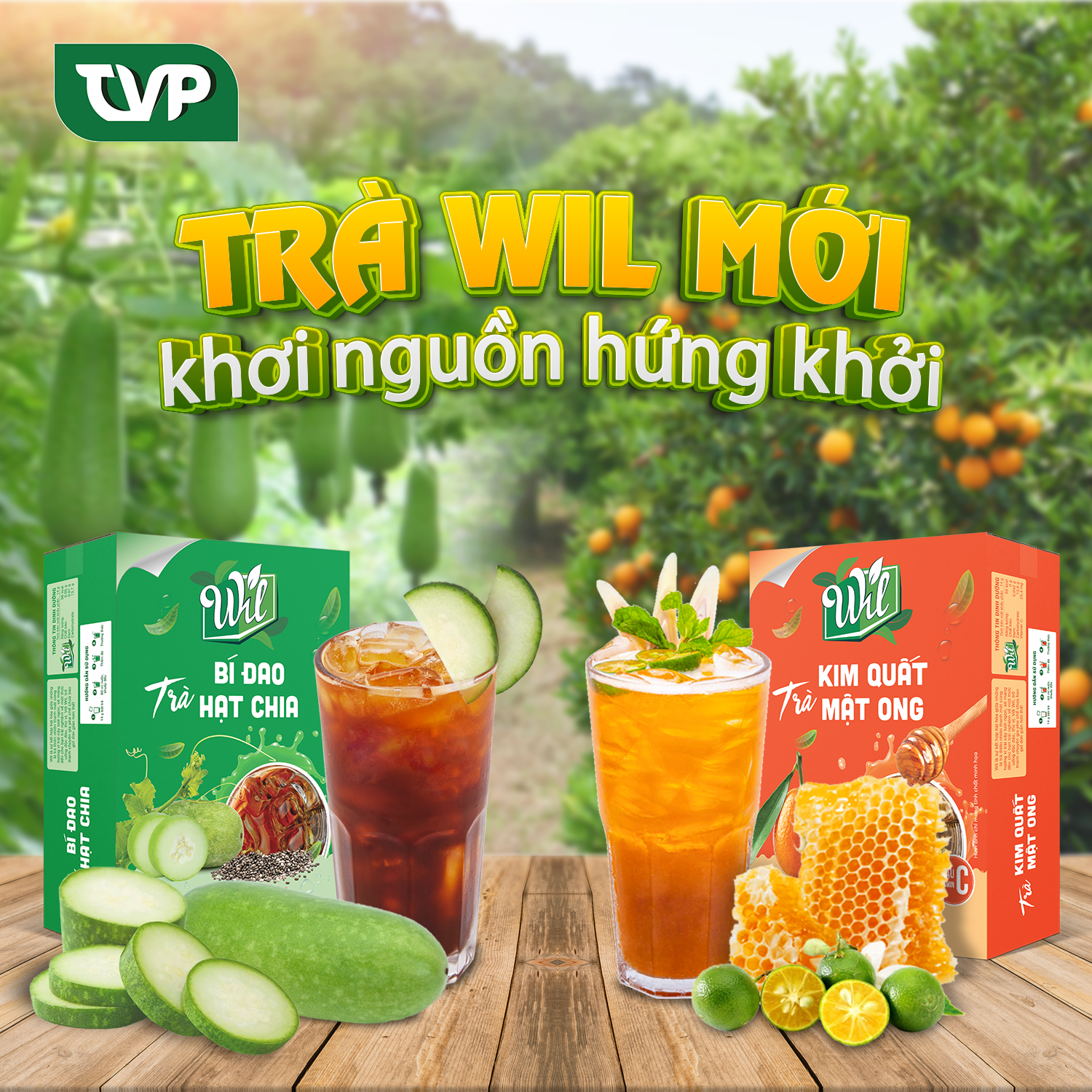 Trà bí đao hạt chia Wil trà hòa tan giải nhiệt thanh lọc cơ thể hộp 168g (12 gói x 14g)