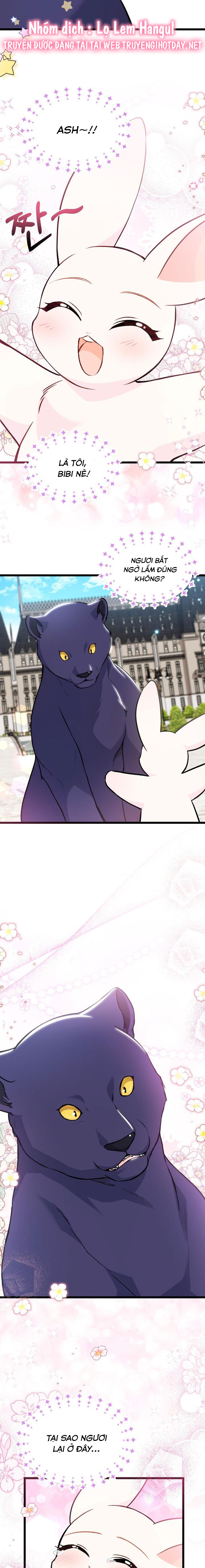 mối liên kết giữa báo đen và bé thỏ chapter 134 17