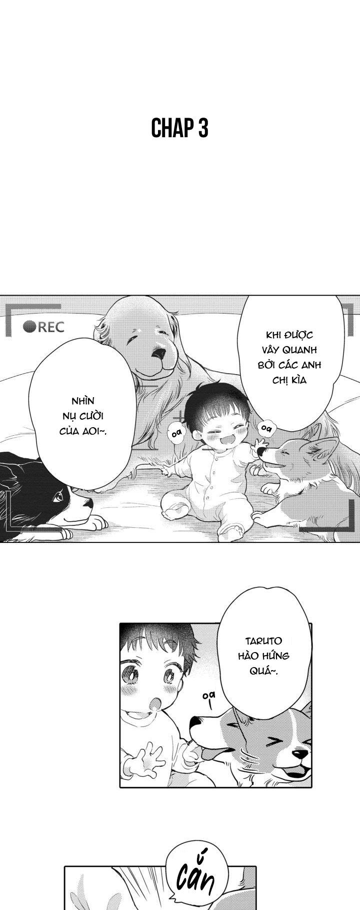 hiyoko-chan to harinezumi-kun chapter 3 1