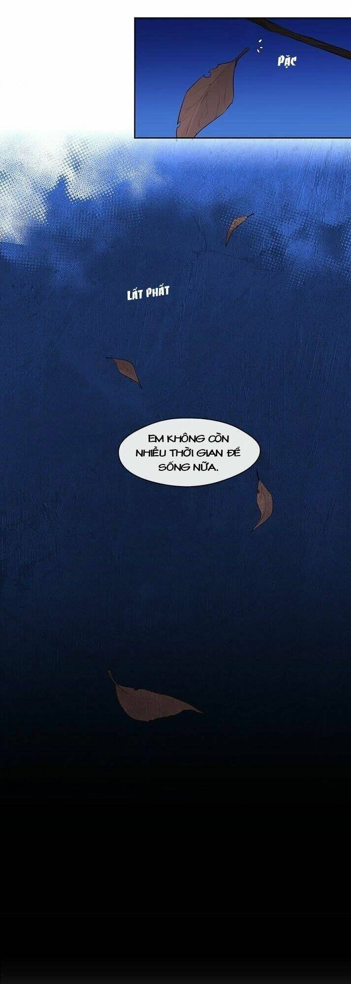 cộng tác của hoàng đế chapter 49 25