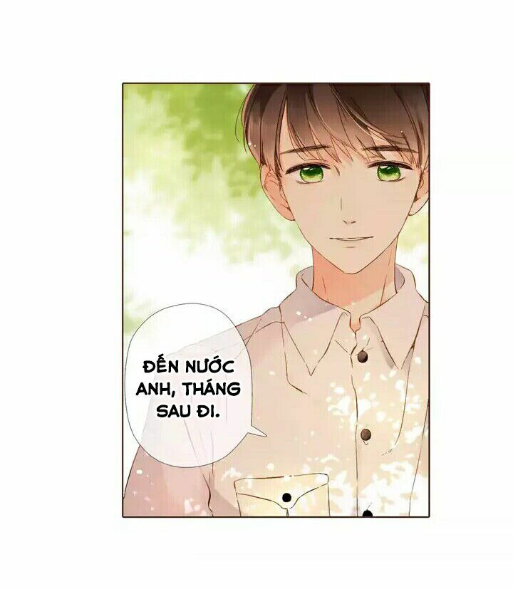 Tình yêu là màu hoa anh thảo chapter 28.1 38