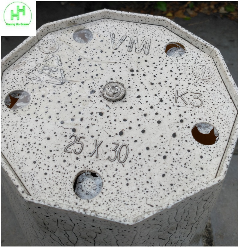 2 Chậu nhựa Kim Cương SO4, KT Miệng 30cm x Cao 40cm - Nhựa Đức Minh