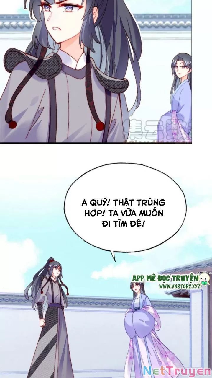 lại bị bệnh chiều chuộng quấn lấy chapter 34 43