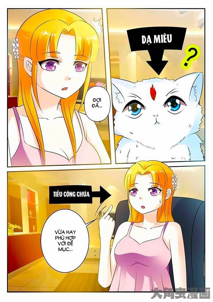 mau lấy con mèo đó ra chapter 10 2