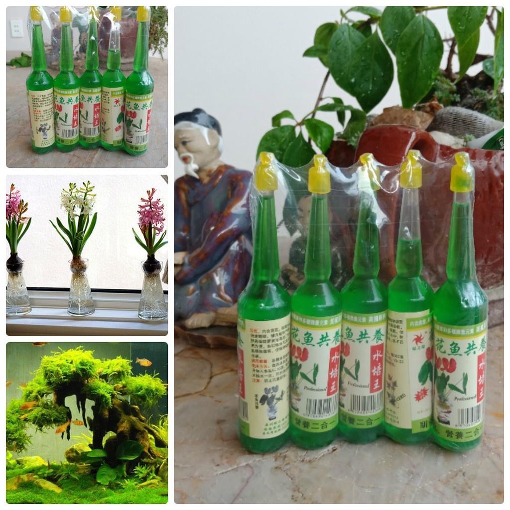 Dung Dịch Thủy Canh Xanh chuyên dùng cho cây trồng thủy sinh, bể cá - Rẻ Vô Địch