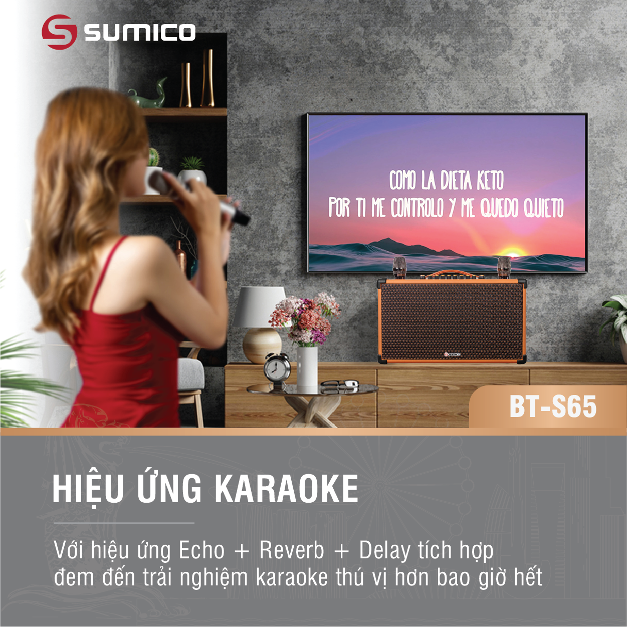 Loa Karaoke Di Động Sumico BT-S65 (Kèm 2 Micro không dây Kim loại) - Hàng Chính Hãng