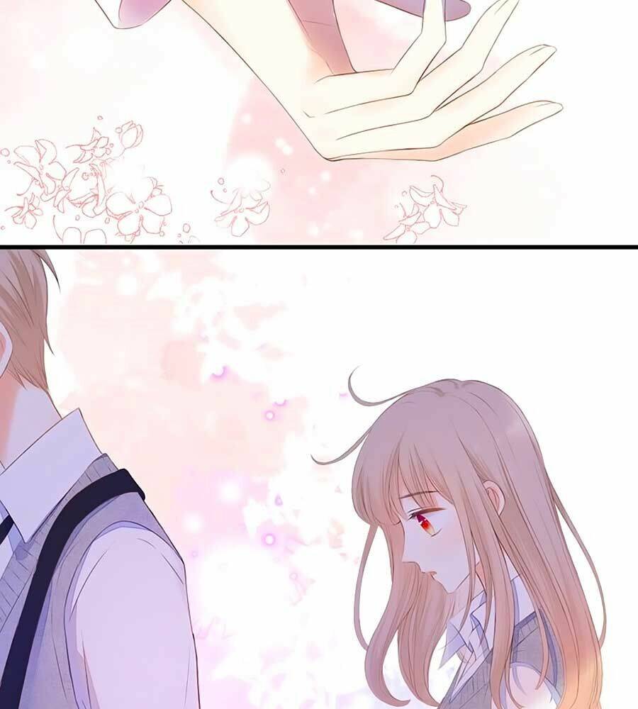 đóa hoa chớm nở chapter 66 10