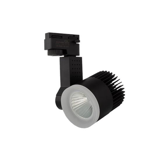 ĐÈN RỌI RAY BERYL 12W - 30W