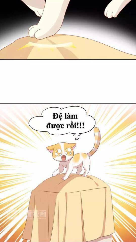 dưới móng vuốt mèo chapter 13 17