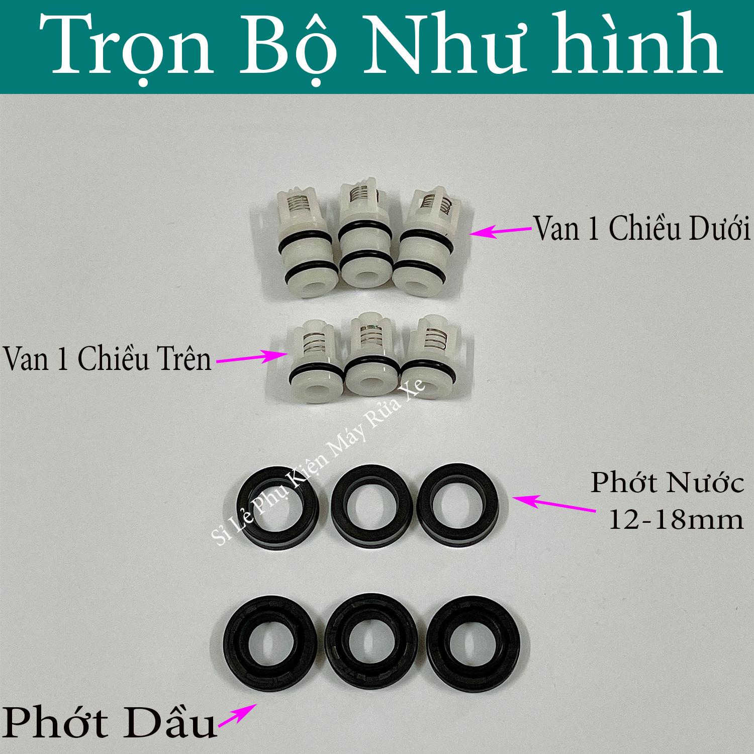 BỘ PHỚT, VAN MỘT CHIỀU 12-18 THAY THẾ CHO MÁY RỬA XE GIA ĐÌNH - PHỤ KIỆN MÁY RỬA XE